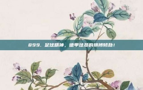 899. 足球精神，德甲球员的拼搏韧劲！