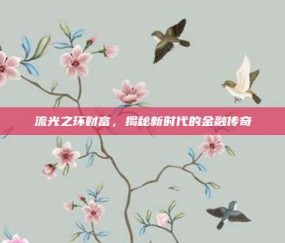 流光之环财富，揭秘新时代的金融传奇