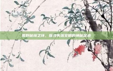 荒野秘境之环，探寻失落文明的神秘足迹