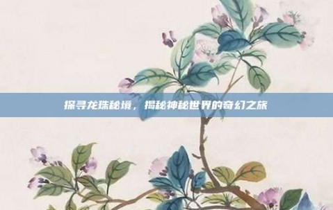 探寻龙珠秘境，揭秘神秘世界的奇幻之旅