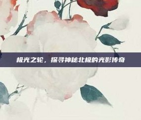 极光之轮，探寻神秘北极的光影传奇