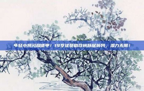 年轻小将闪耀德甲！19岁球员助攻榜跃居前列，潜力无限！