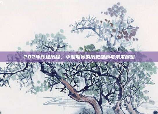 282年辉煌历程，中超联赛的历史回顾与未来展望